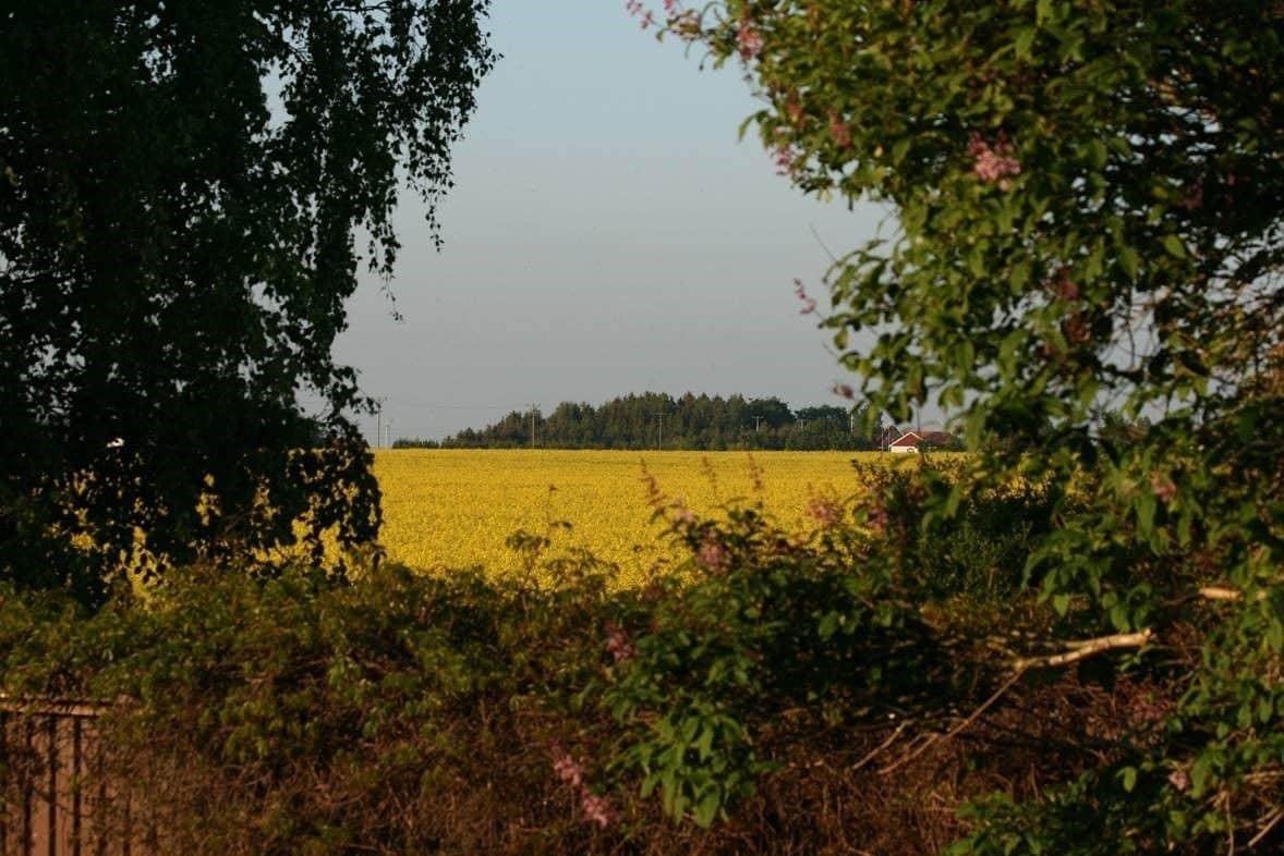 Lilla Huset Pa Slaetten B&B Lund Eksteriør bilde